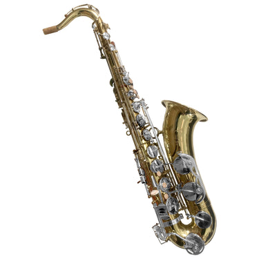 Sax Tenor Fanpro Sxtnnick Sib Laqueado Llaves Niquel